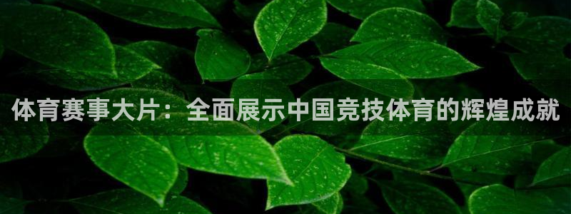 678体育官网